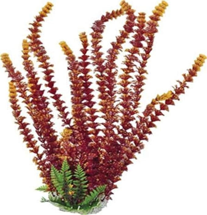 Aquatop ATP Plnt Cabomba Rust/Or 16in