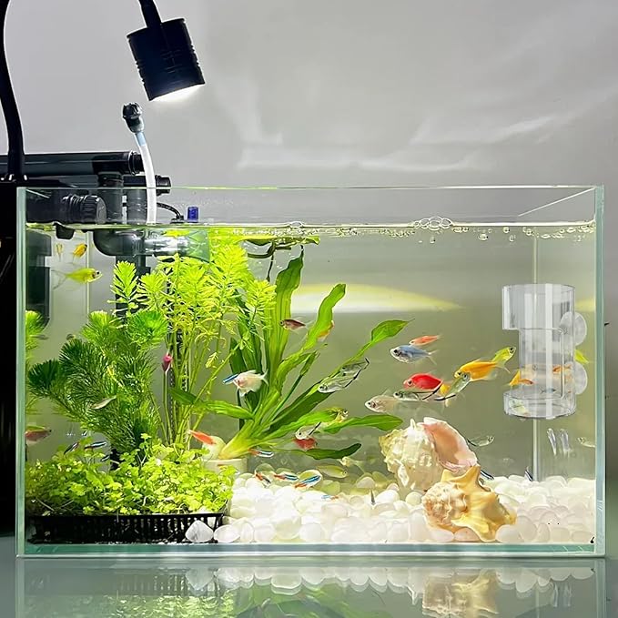 No Mess Aquarium Feeder, Acrylic Clear Fish Tank Feeder with Suction Cup, Preventing Food Scattering Feeding Tray Hollow Floating Sinking Shrimp Food Holders (Square,1)