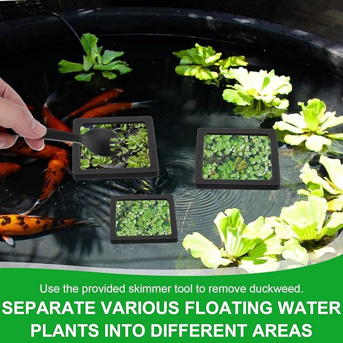 6PCS Aquarium Floating Plant Corral, Square Black EVA Fish Feeding Ring Set, Fish Tank Accessories for Mini Betta Tank, Floating Plants Holder|Feeder|Corral