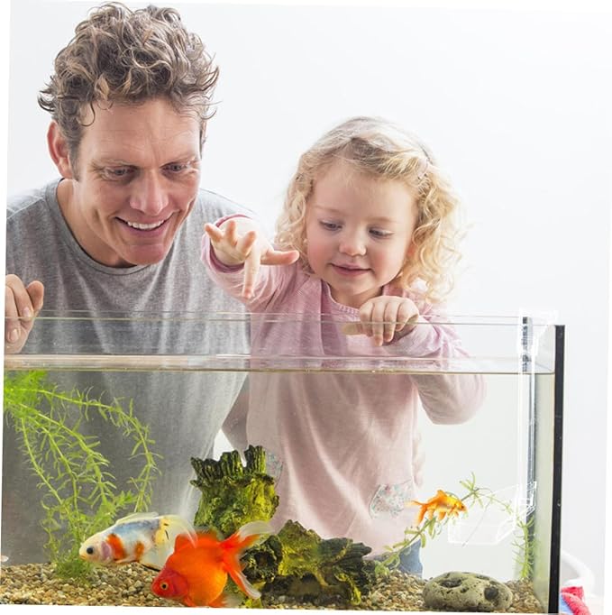 DOITOOL Acrylic Aquarium Fish Feeder Tube with Shrimp Feeding Dish 21cm for Fish Tank Automatic Feeding Aquarium Accessories