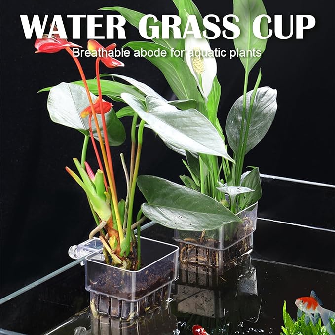 12 Pack Top Hanging Fish Tank Plant Pot Clear Aquarium Plant Holder with Hook Aquatic Plant Cup Holder Aquarium Aquatic P-lant Pot Water Landscape Decoration for P-lant Water Feature Decoration