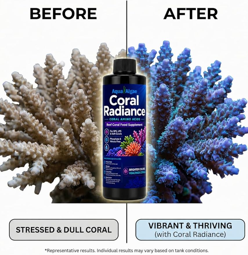 Coral Radiance Coral Amino Acids – Reef Tank Coral Food Supplement for SPS & LPS, Phosphate-Free & Nitrate-Free, Supports Color, Growth & Polyp Extension, 4 fl oz