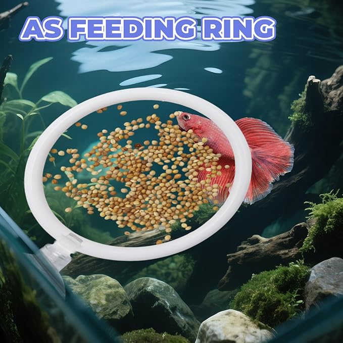 Beta Fish Aquariums Accessories, 1 Fish Mirror with Floating Ball & 2 Exercise Training Ring Toys, Fish Feeding Ring, Betta Fish Toys Set for Tank, Enrichment Toys for Fish