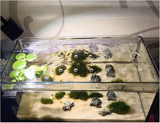 DIY Fish Aquarium Anti-Jumping Cover/Aquarium Lid, Custom & Cuttable Top Cover, Prevents Reptiles from Jumping Out