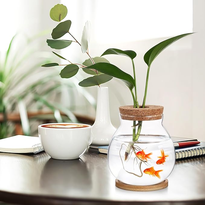 HANABASS Desktop Fish Bowl Hydroponic Terrarium Small Glass Betta Fish Tank with Wood Lid and Bamboo Stand for Home Office Decoration