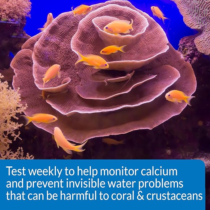 API CALCIUM TEST KIT Saltwater Aquarium Water 1-Count Test Kit