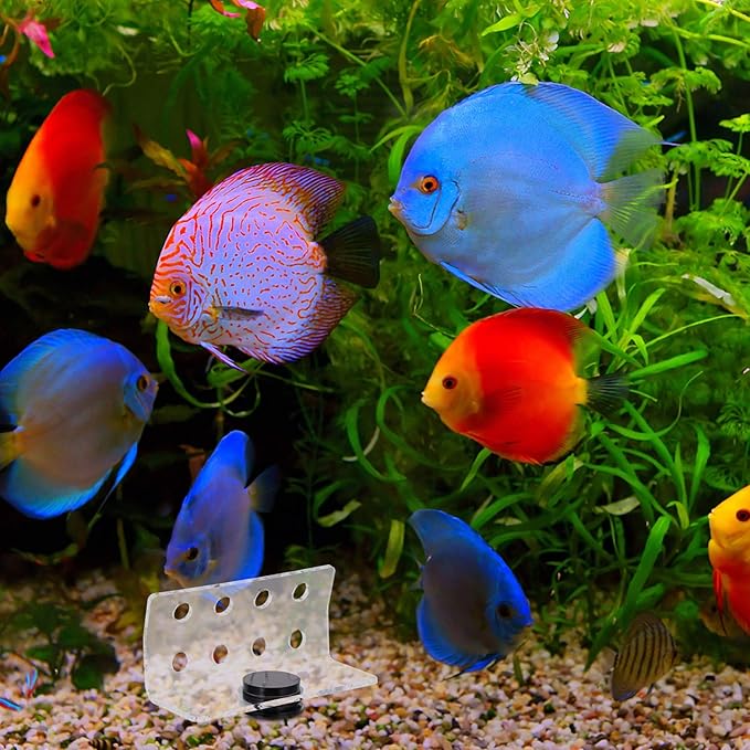 balacoo Magnetic Coral Rack Acrylic 8 Hole Coral Frag Holder Aquarium Fish Tank Coral Stand Support for Aquarium Fish Tank Supply