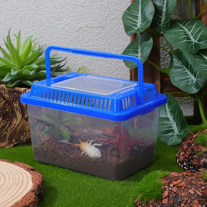 SEWACC Turtle Carrier Fish Tank with Lid Portable Turtle Aquarium Carrying Tank Clear Plastic Storage Box for Home Use