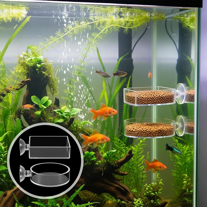 2Pcs Shrimp Feeding Dish, Aquarium Feeding Dish with Suction Cup Acrylic Fish Food Feeder for Freshwater and Saltwater Tanks Round and Square