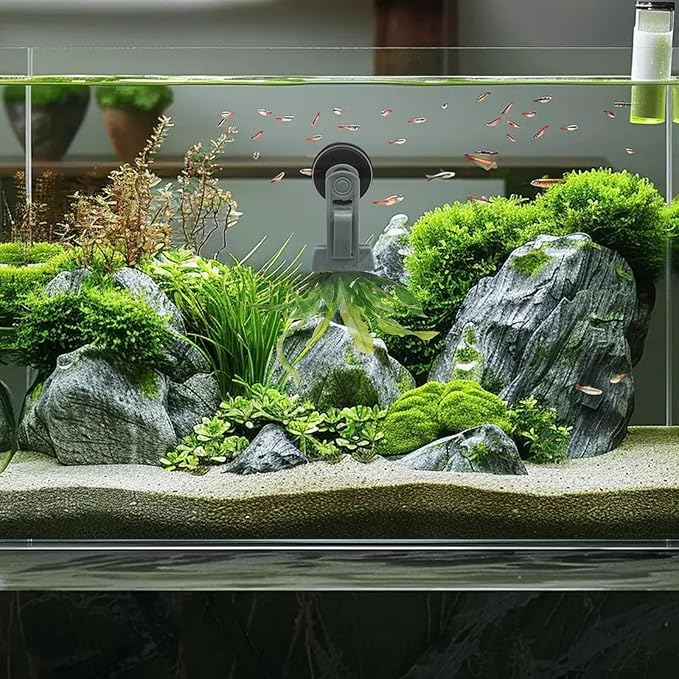 Goldfish Feeder, Saltwater Aquarium Accessories Supplies Algae Magnet Seaweed Feeder Aquarium Magnetic Clips, Fish Tank Feeding Ring Suitable for Aquatic Pets