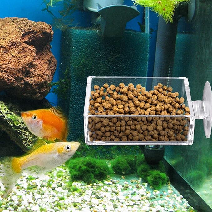 Shrimp Feeding Dish Square Fish Tank Feeding Bowl Clear Acrylic Aquarium Feeder Bowl with Suction Cup
