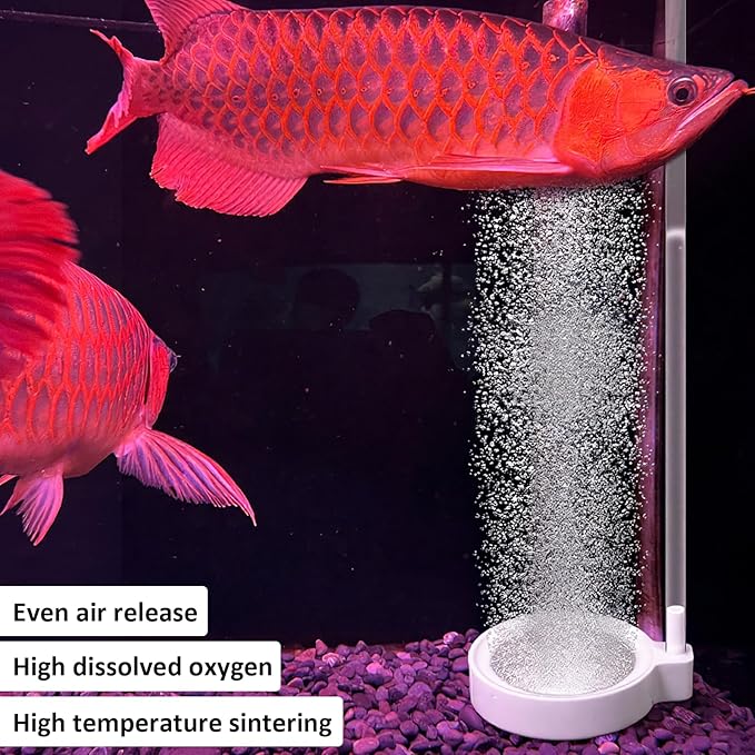 2 Inch Fish Tank Nano Air Stone, Nano Fish Tank Bubbler, High Dissolved Oxygen Diffuser, Ultra Quiet Airstone, Aquarium Bubbler for 5 to 30 Gallon Tanks(No Air Pump and Air Tube)