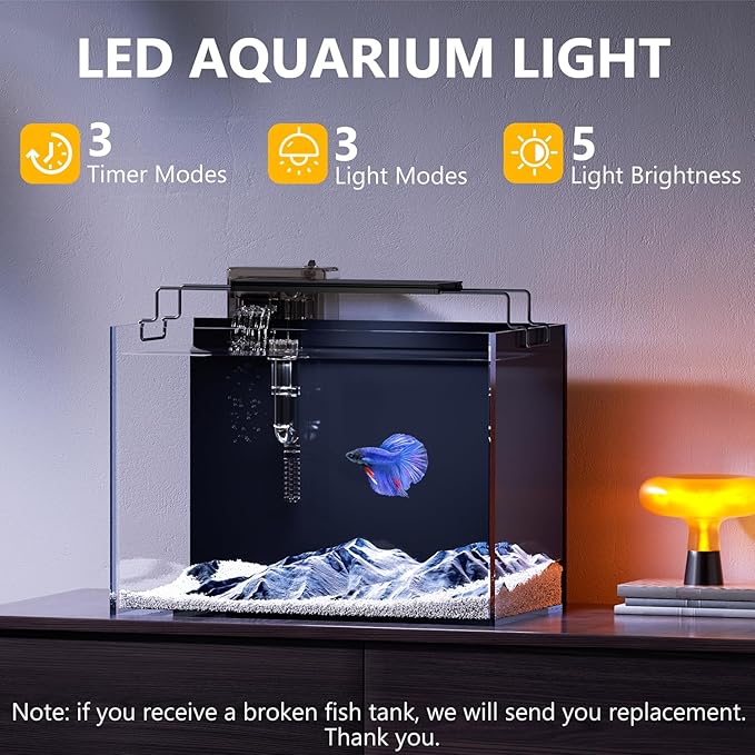 5 Gallon Fish Tank Aquarium Kit with HOB Filter, LED Light with Timer, Lid, Siphon Vacuum Cleaner, Self Cleaning Glass Rimless Betta Tank