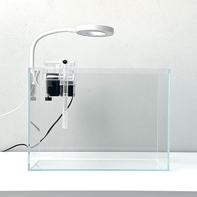 Nano Aquarium Kit 2.2 Gallon, Rimless Glass Betta Fish Tank with Filter & LED Light, 12" x 6" x 8" Small Desktop Fish Tank for Home Office (Transparent, Essential)