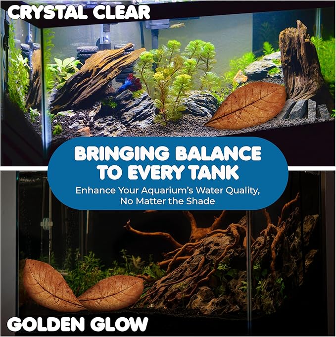 SunGrow 20 Pcs Large Catappa Indian Almond Leaves for Fish Aquarium Tank, 7-8 Inches, Leaf for Successful Breeding & Creating Rainforest Environment, Water Conditioner Leaves for Shrimps, Betta