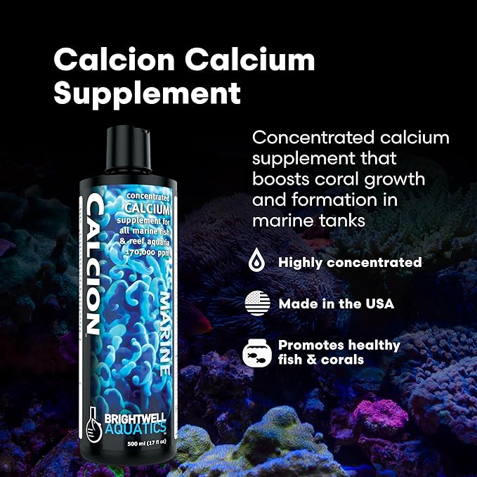 Brightwell Aquatics Calcion Concentrated Ionic Calcium Supplement for Reef & Saltwater Aquariums Supports Coral Growth Aragonite Formation No Phosphate, 250 ml