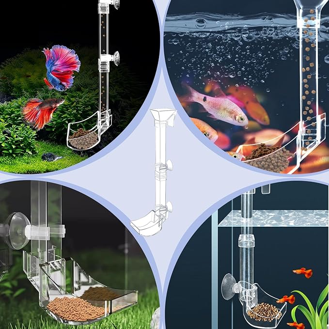 Aquarium Fish Shrimp Feeding Dish Set - Clear Feeder Tube and Dish With Cleaning Brush and Measuring Spoon for Preventing Food Scattering - Supplies for Shrimp Medium