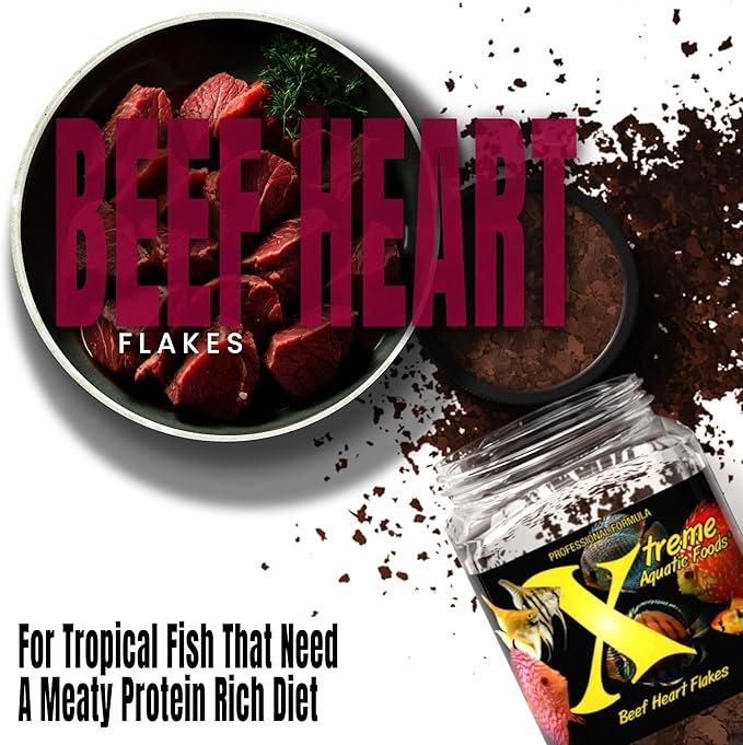 Xtreme Beef Heart Flakes - High Protein, Nutrient-Dense for Tropical & Freshwater Fish, Supports Growth, Color Enhancement, Easy Digestion - Ideal for Discus and Cichlids (3.5oz)