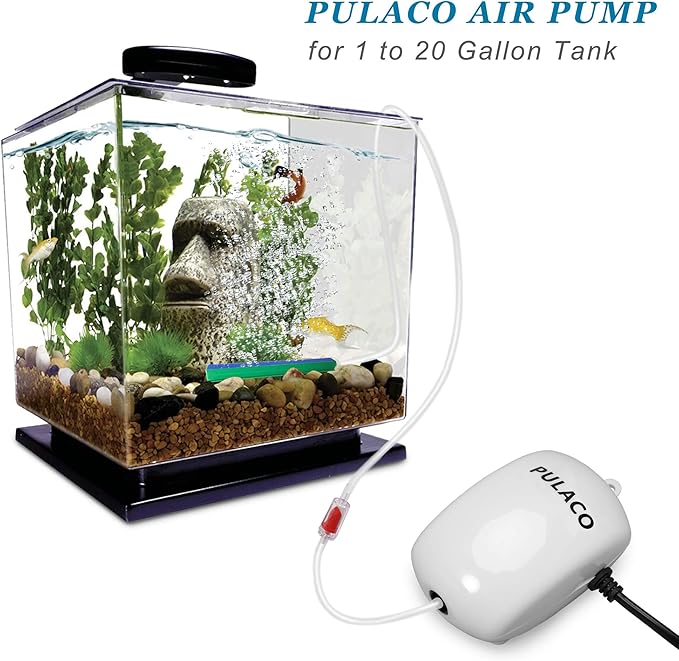 PULACO Aquarium Air Pump and Small Aquarium Filter