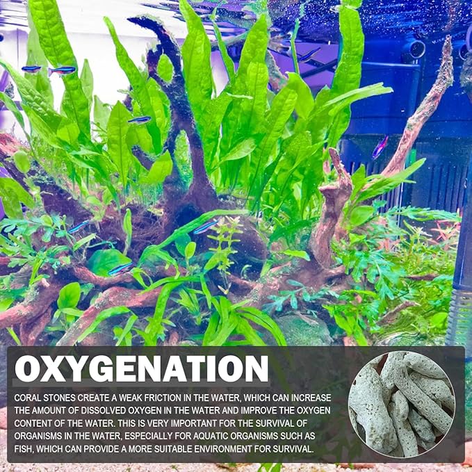 500g Coral Stone Fish Tank Filter Material Fish Tank Filter Media Decoration for Fresh Water