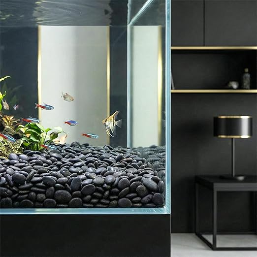 River Rocks Decorative Ornamental Vase Filler 0.5" - 0.75" Black Aquarium Gravel 2 lbs - Landscaping Pebbles for Indoor Plants, Succulents, Terrarium & Home Decor, DIY & Crafting – Royal Imports
