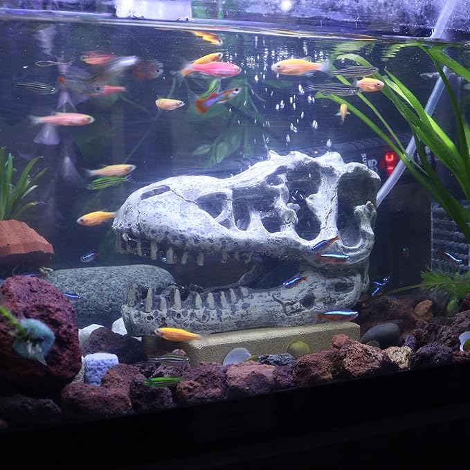 WishLotus Skull Aquarium Hides Decor, Resin Dinosaur Fish Hideout for Little Shrimp Betta Goldfish and Reptiles (Dinosaur Head)
