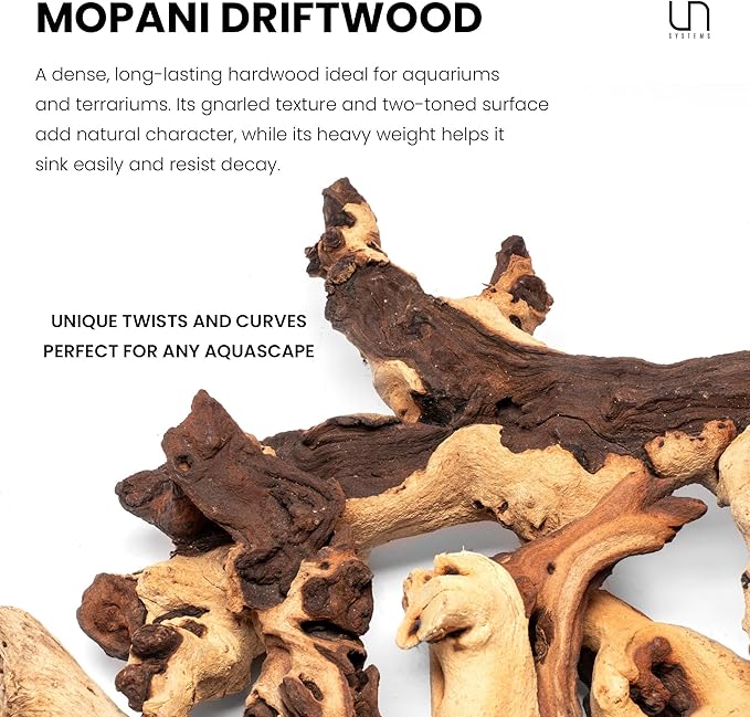 Ultum Nature Systems Driftwood - Mopani Wood - Natural Aquarium Hardscape for Planted Tank Aquascaping - Fish, Crab, Reptile, Bird, Paludarium Enclosure Structure, Terrarium Decor - MED 1Pc, 12-16"