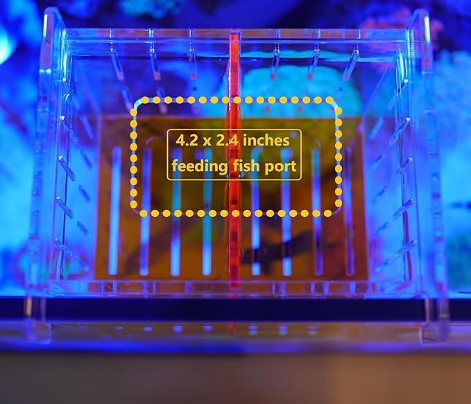 Acrylic Acclimation Box for Saltwater Fish and Reef Coral Quarantine Isolation Box for Aquarium Fish Hydroponic Plant External Breeding Box
