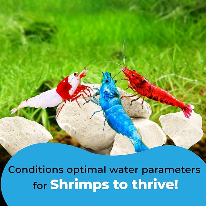 JOR Calcium Rocks for Shrimps, Enhances Pet Color, Provides Hideout, Beneficial for Shedding, and Breeding Spot, 1.7 oz. (50g)