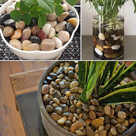 River Rocks for Plants 5.5 LB Small Decorative Pebbles 1"-1.5" Polished Stones Smooth Aquarium Gravel for Fish Tank Vases Indoor Planters Outdoor Landscaping Garden (88oz)