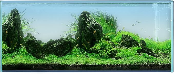 Landen 120P 72.2 Gallon Rimless Low Iron Aquarium Fish Tank, W47.2 × D19.7 × H19.7 (120x50x50cm) 12mm Thickness with Black Nano Foam Leveling mat Included
