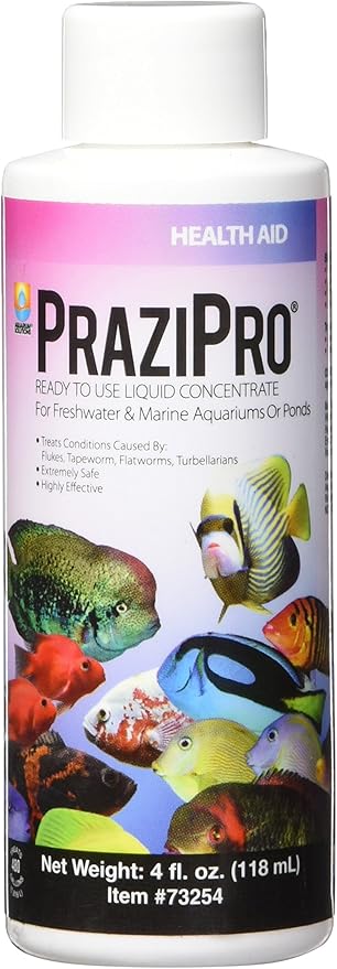 Hikari Usa AHK73254 fish Prazipro for Aquarium, 4-Ounce