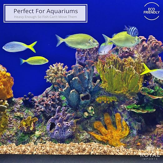 River Rocks Decorative Ornamental Vase Filler 0.25" Natural Aquarium Gravel - 5 lbs Landscaping Pebbles for Indoor Plants, Fish Tank Gravel, Terrarium & Home Decor, DIY & Crafting – Royal Imports