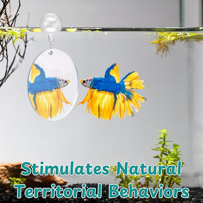 Betta Mirror Enrichment Fish Toys Stimulation, 2 pcs Exercise Feeding Rings And Training Mirror With Floating Ball Toy, Betta Fish Tank Accessories, Small Aquarium Tank Decoration (Orange, M)