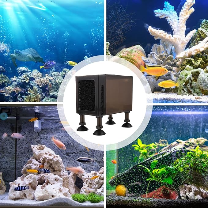 Ipetboom Protective Pump Container with Filter Box Wear-Resistant Household Pump Box Compact 5.90X5.51X3.54 Inch for Aquarium Pond Fountain Pumps