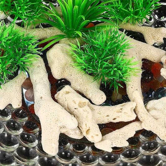 10cm 500g Crushed Coral, Fish Tank Filter Media, Aquarium Filter Material, Tank Pond Fish Tank Media Decoration for Aquarium Fishtank Freshwater Sea Water