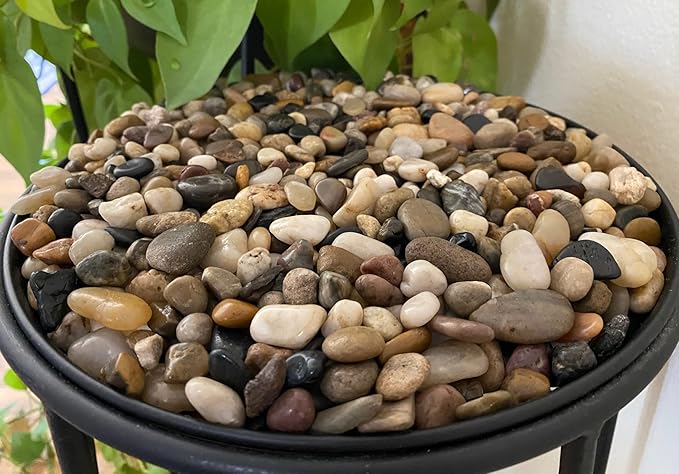 Rocks for Plants. Mixed Colors Decorative Polished Pebbles. 3/8 Inch – 10 lbs for Plants, Garden, Landscaping, Succulents, pots, Plants (XSM (0.375 Inch), Mixed Color - Polished, 10)