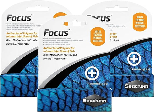 (3 Pack) Focus In 5 Gm/0.2 Oz