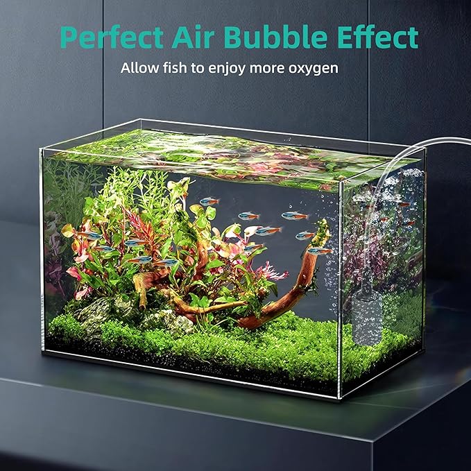 DaToo Aquarium Air Stone 1 Inch 12 Pack Fish Tank Aerator Bubble Diffuser Silicon Carbide Fish Tank Airstone for Air Pump Aquariums Ponds Hydroponic Systems