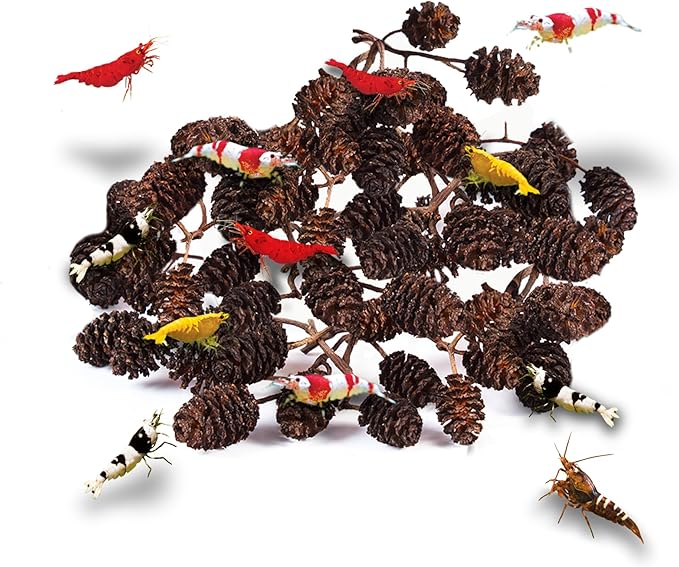 JOR 30 Pack Alder Pine Cones, Aquarium Decor Benefits Shrimp and Tropical Fish, Lower pH, Softens Water, Foraging Chew Treat for Parrots & Guinea Pig