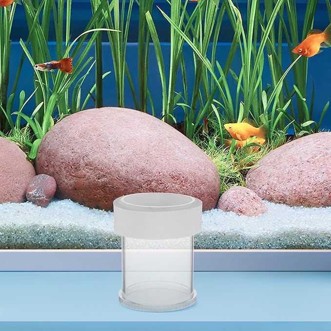 ibasenice Fish Tank Feeder Floating Acrylic Shrimp Feeder Ring Large White Betta Fish Feeding Bowl Semi-Automatic Aquarium Feeding Accessory for Vacation and Daily Use