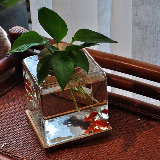 Desktop Betta Fish Tank with Wood Lid and Bamboo Stand Small Fish Bowl Glass for Beta Fish Hydroponic Plant Terrarium Aquarium Starter Kit 0.5 Gallon