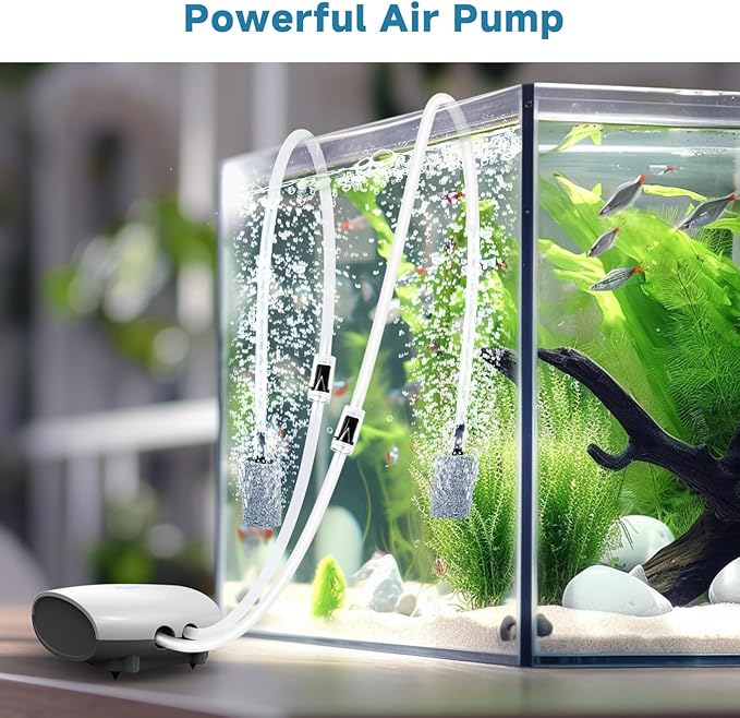 AQQA Air Pump Aquarium Quiet Oxygen Aerator Pump Dual Outlets Fish Tank Bubbler Pump with Air Tubes Air Stones & Check Valve (5W for Up to 160 Gal)