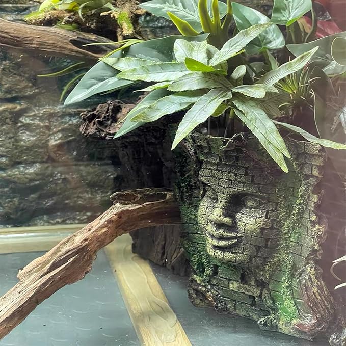 Tfwadmx Aquarium Decoration Statue Fish Tank Resin Ancient Roman Ruins Ornament Cave Hideout for Hermit Crabs Crayfish SuckerFish Guppy