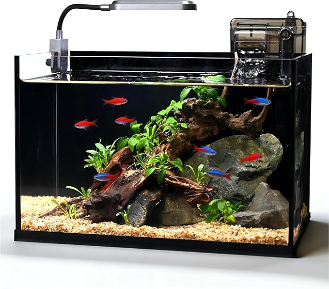 Glass Fish Tank Kit,2.8 Gallon Fish Tank,Small Aquarium, Ultra-Clear Nano Aquarium,Betta Fish Tank,Small Fish Tank,Aquarium Starter kit,Desktop Fish Tank,with Light and Filter