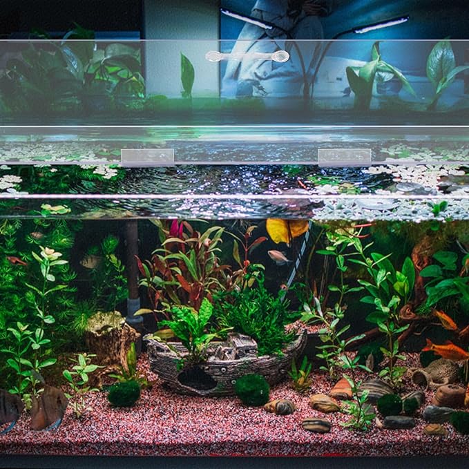 Sieral Aquarium Polycarbonate Canopy Set 29 x 11.38 x 0.12 Inch for 20/29/37 Gallon Without Center Brace Aquariums Cover Fish Tank Lid with a Hook Knife, Clear