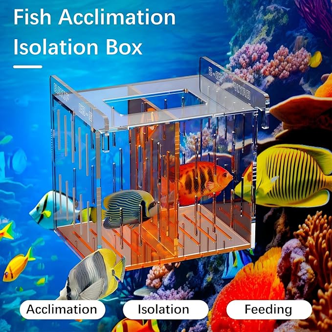 Acrylic Acclimation Box for Saltwater Fish and Reef Coral Quarantine Isolation Box for Aquarium Fish Hydroponic Plant External Breeding Box