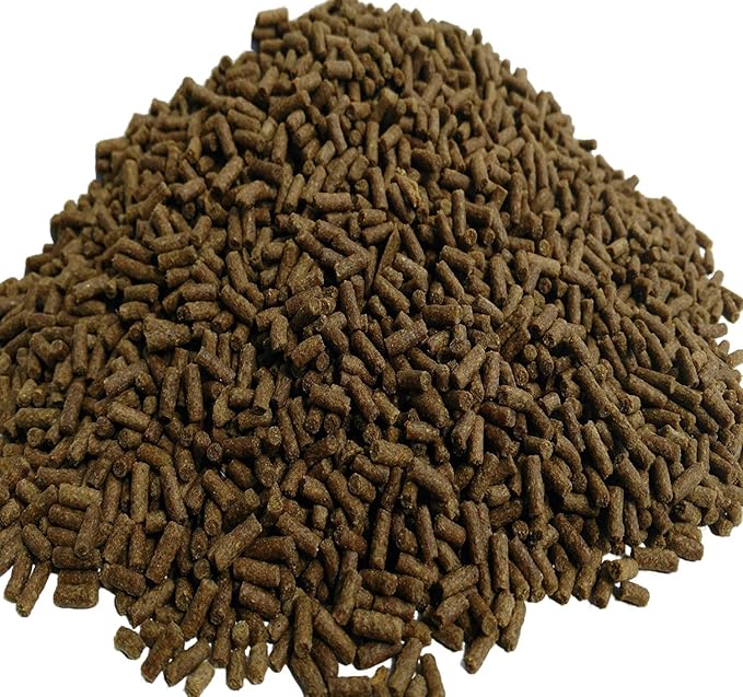 Zeigler Grower Pellets for Shrimp, 45% Protein Sinking 3/32 x 1/4 for Shrimp, Snails, Axolotls, Newts, Catfish, Plecos, All Bottom Tropical Fish...2-lbs