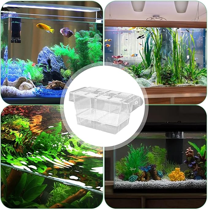 Fish Breeding Box - Fish Tank Divider Acclimation Box, Acrylic Hatchery Incubator Fish Tank | Fish Tank Breeder Box, Baby Fish Tank for Baby Fishes, Shrimp, Clownfish, Guppy, Aggressive Fishes