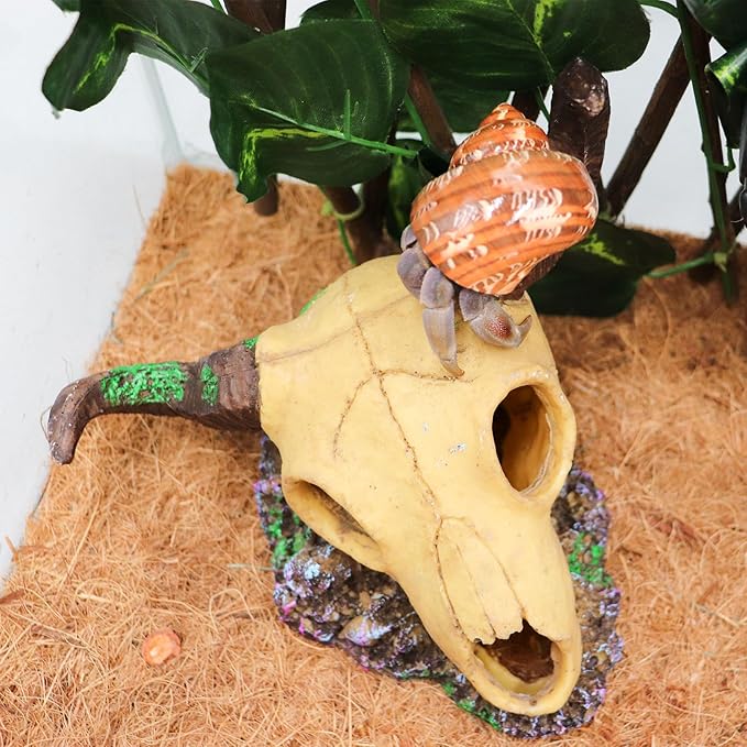 Snake Hideout, Reptile Aquarium Skull Decor, Resin Skeleton Head Fish Hide, Tank Terrarium Aquarium Accessories, Reptile Hides and Caves for Fish Bearded Dragon Salamander Ball Python Leopard Gecko